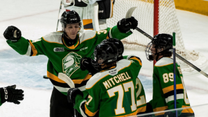 London Knights look to finish with perfect preseason record Saturday in Sarnia