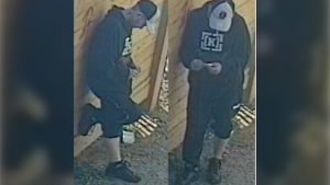 LPS release images of possible arson suspect