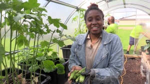 ‘We grow collard greens, okra, callaloo’: London non-profit helping BIPOC individuals manage their diabetes journey