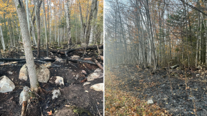 Crews extinguish bush fire north of Southampton