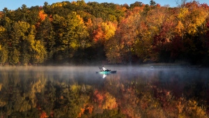 Fall colours in Ontario: Warmer than normal temperatures lead to duller autumn