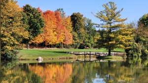 Mainly sunny weekend in store for Londoners