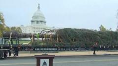 US Capitol Christmas tree arrives in DC