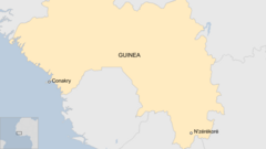 Dozens killed in crush at Guinea football match – reports