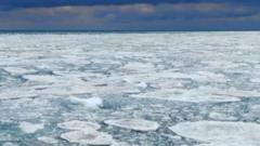 Mesmerising ice formations cover US lake