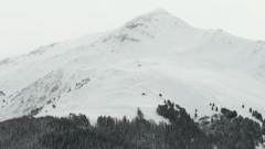 Five skiers killed in French Alps avalanches