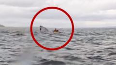 Watch moment man is swallowed by humpback whale