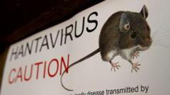 What is hantavirus, disease which killed Gene Hackman’s wife?