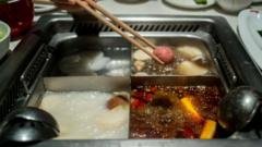 Chinese hotpot chain compensates 4,000 diners after teenagers pee in soup