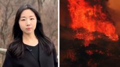 How the South Korea wildfires became so deadly