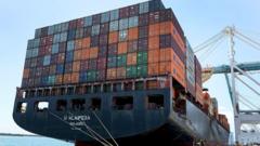 US tariffs will make global trade shrink, says WTO