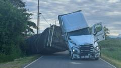 Warning after 250 million bees escape overturned truck in US