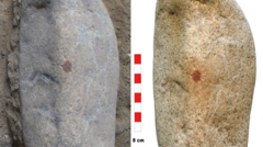 Ancient human fingerprint suggests Neanderthals made art