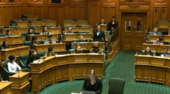 Three Maori MPs suspended over ‘intimidating’ haka
