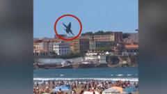 Watch: Fighter jet swerves dramatically to avoid birds near packed beach