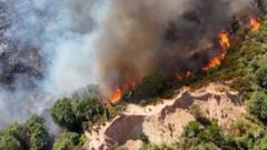 Watch: Europe’s wildfires seen from above