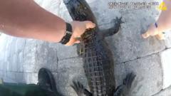 Watch: Police officer removes alligator from family’s pool with bare hands