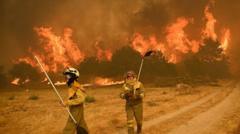 Wildfires rage in Spain and Portugal as heatwave continues
