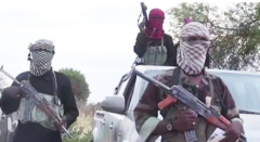 Boko Haram kills at least 60 in overnight attack on Nigerian village