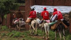 Aid workers use donkeys to reach remote Sudan landslide site