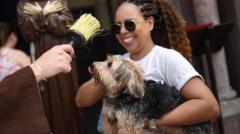 Watch: Pets around the world blessed for Feast of Saint Francis