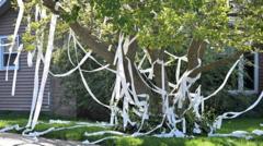 US teacher killed after toilet paper prank goes wrong