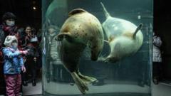 Japan zoo staffer allegedly dumps wife’s body inside incinerator