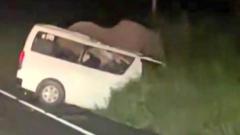 Three killed in Uganda after crashing into elephant