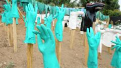 ‘Speed, money and compassion’ – lessons from an Ebola survivor and other experts