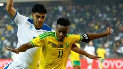 South Africa made to look like fools after World Cup visa issues, says minister
